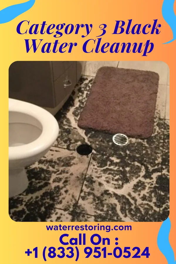 Category 3 Black Water Cleanup in South Lockport, NY