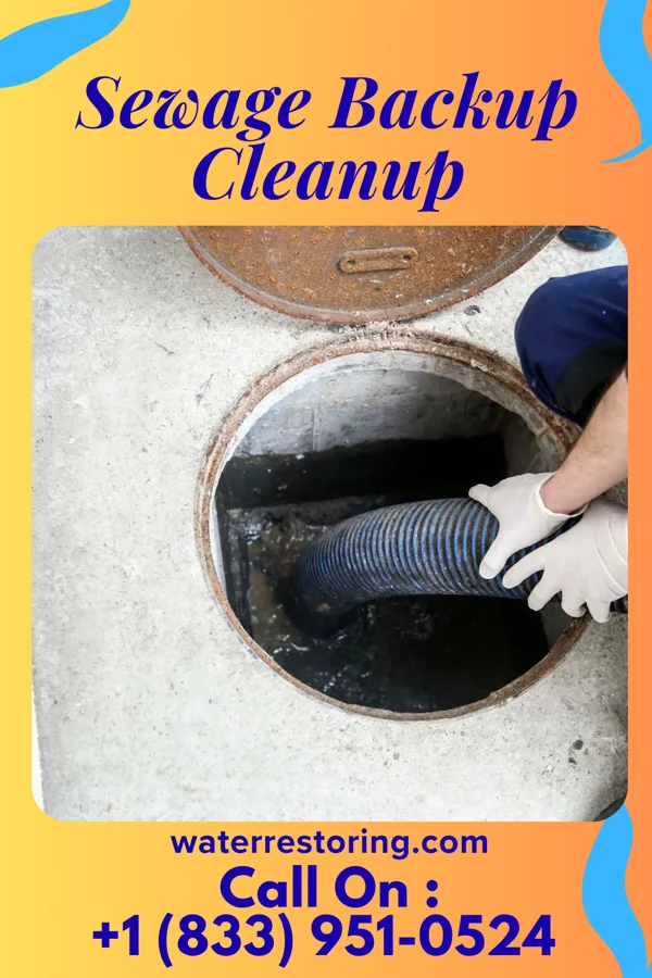 Sewage Backup Cleanup in South Lockport, NY