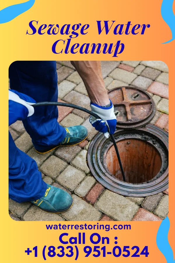 Sewage Water Cleanup in South Lockport, NY